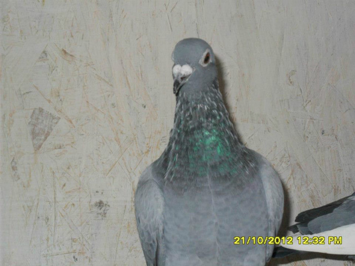 222418_3542971028000_1896121228_n[2]