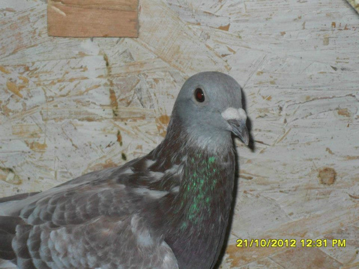 253153_3542969267956_641633840_n[1]