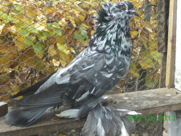 BILD1586