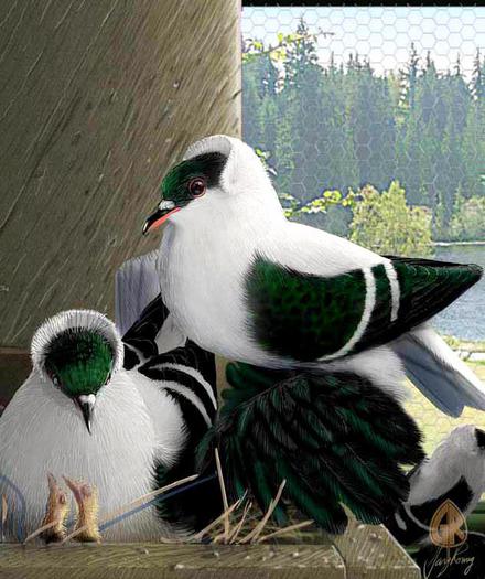 12755_10151234874819311_235361876_n