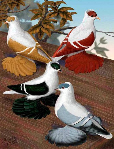 29815_10151234799359311_551971900_n