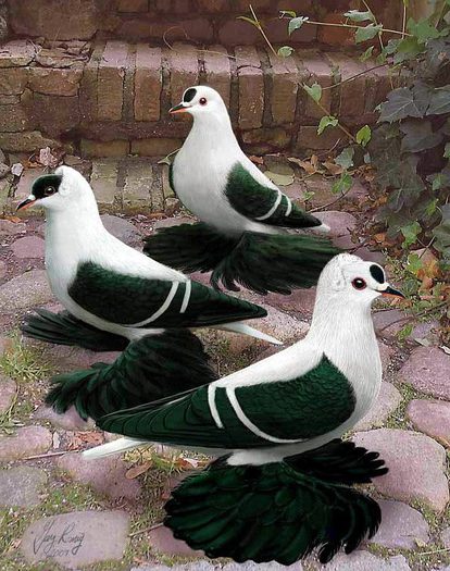 384966_10151234791184311_637785484_n