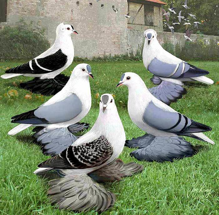 541307_10151234784394311_1970046493_n