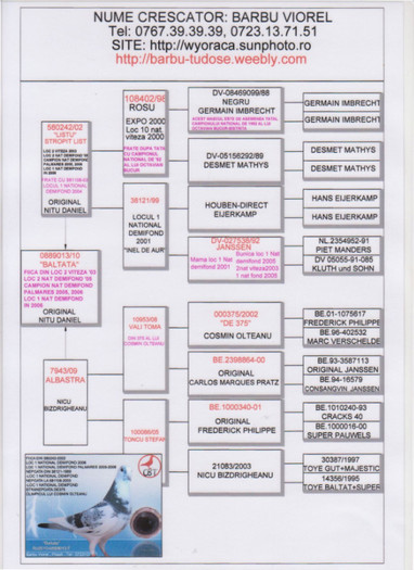 BALTATA; FIICA LOC 1 NATIONAL DEMIFOND 2006
