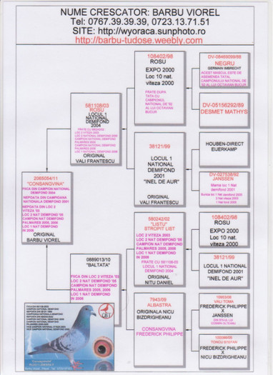 CONSANGVINA 054; CONSANGVINA PE O FAMILIE CU NU MAI PUTIN DE 5 CAMPIONI NATIONALI.
