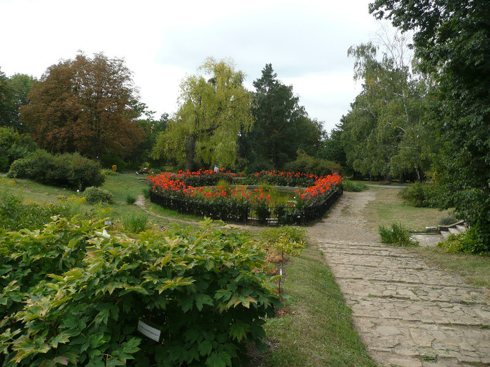 P1060538 - IASI GRADINA BOTANICA ANASTASIE FATU