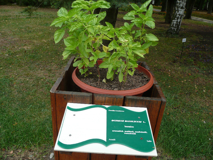 P1060601