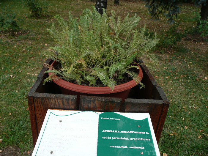 P1060604