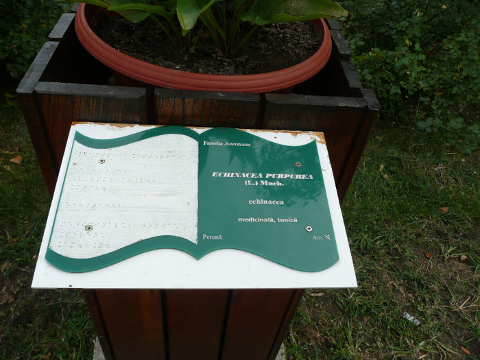 P1060608