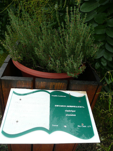 P1060609