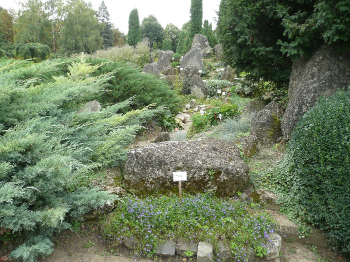 P1060638