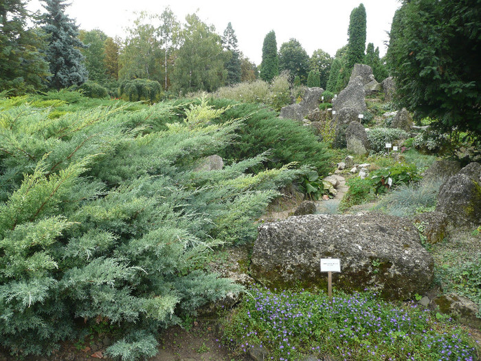 P1060639