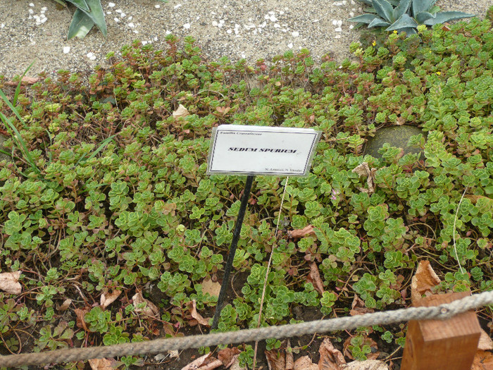 P1060640