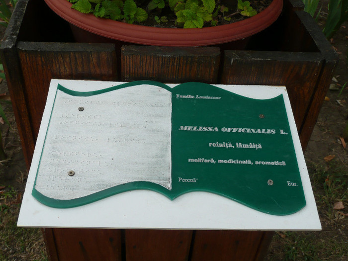 P1060644