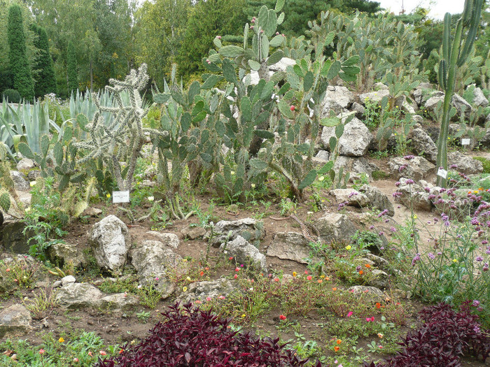 P1060647