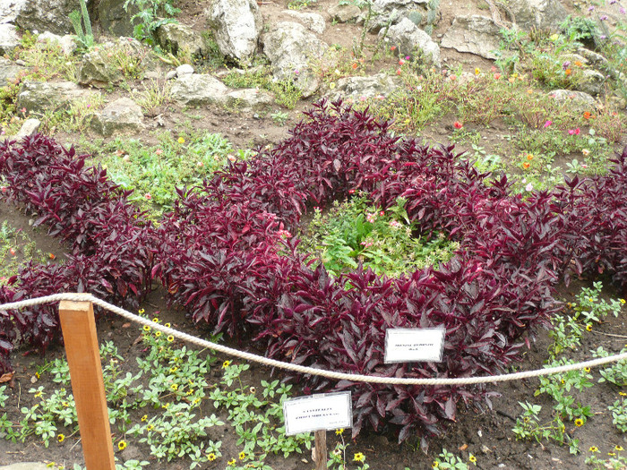 P1060648