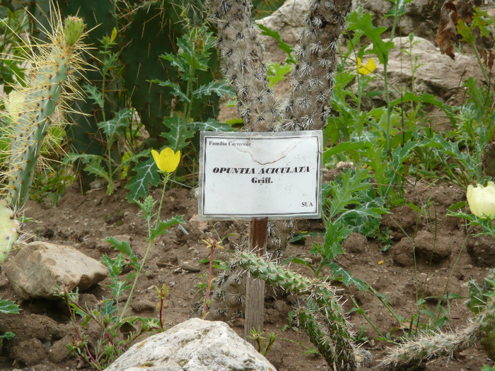 P1060653