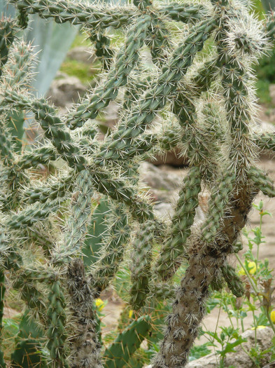 P1060654