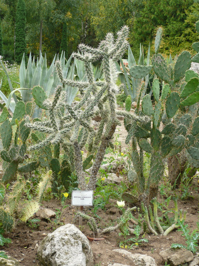 P1060655