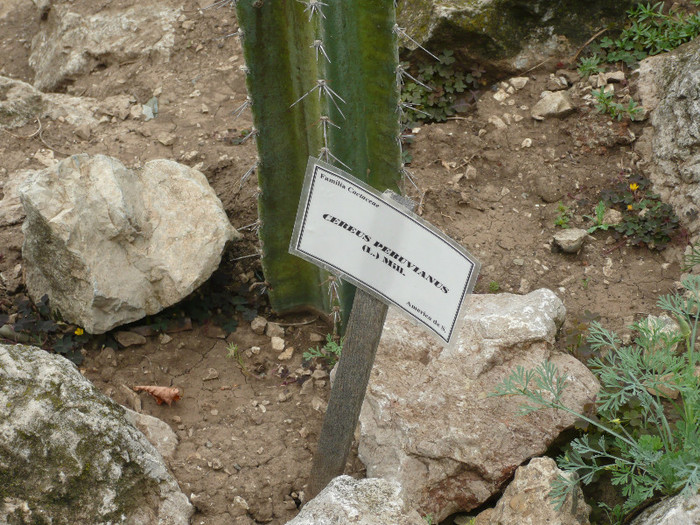 P1060659