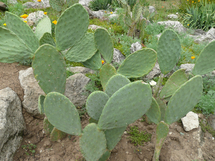 P1060675