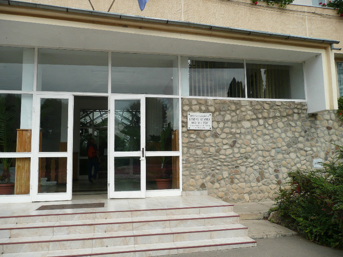 P1060681