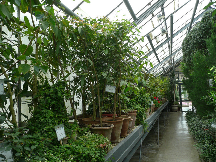 P1060687