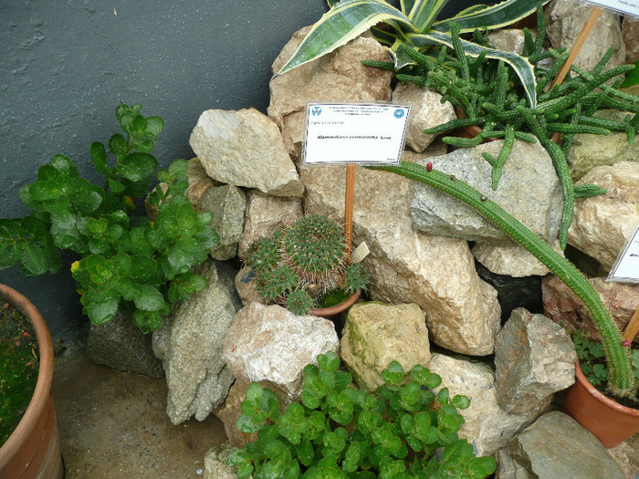 P1060694