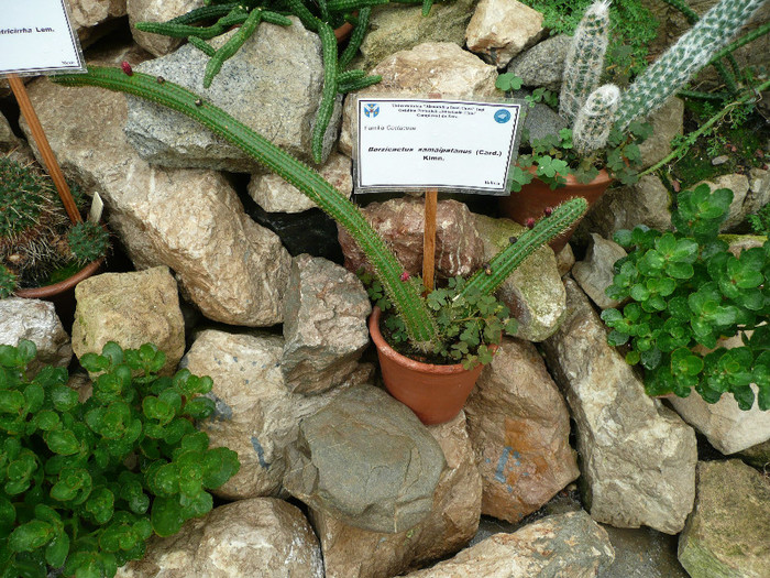 P1060696