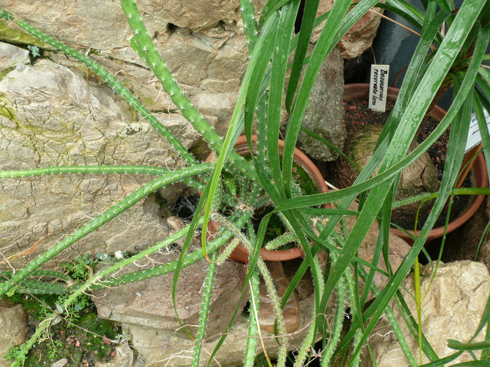 P1060702