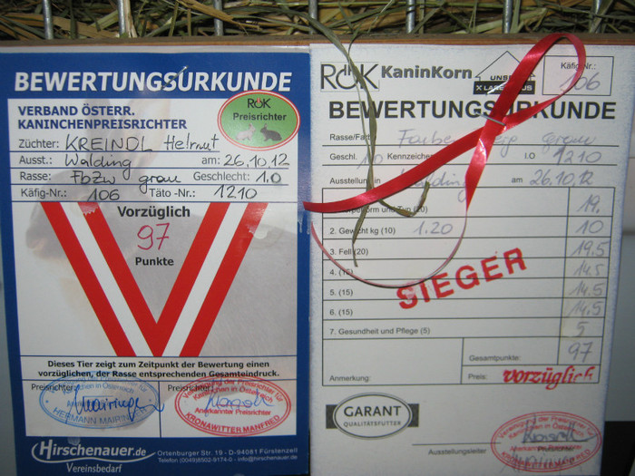 austellung-okt- 053
