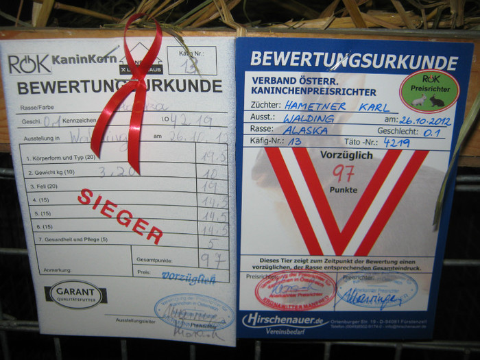 austellung-okt- 061