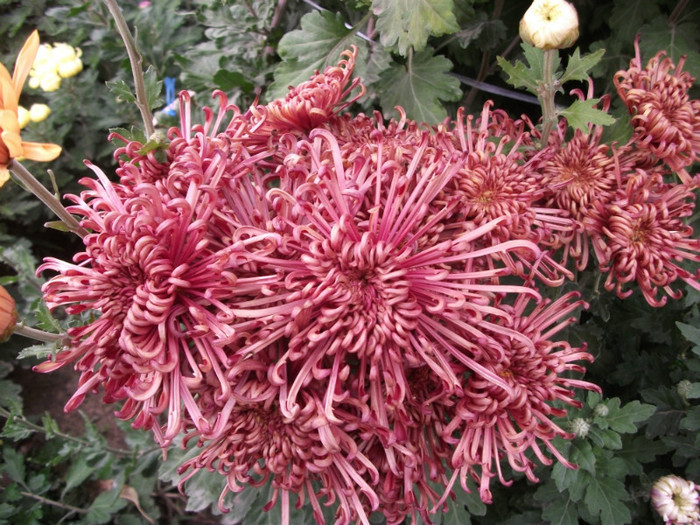 049