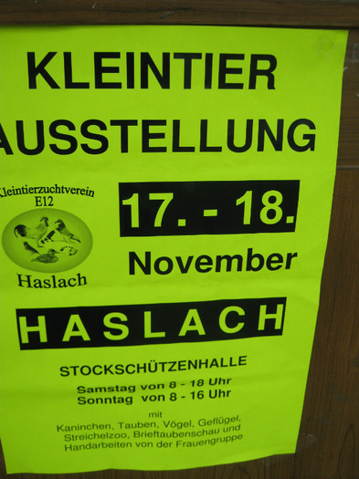 austellung-in nov-expo