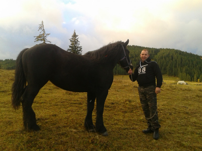 2011-01-01 12.22.43 - Caii mei