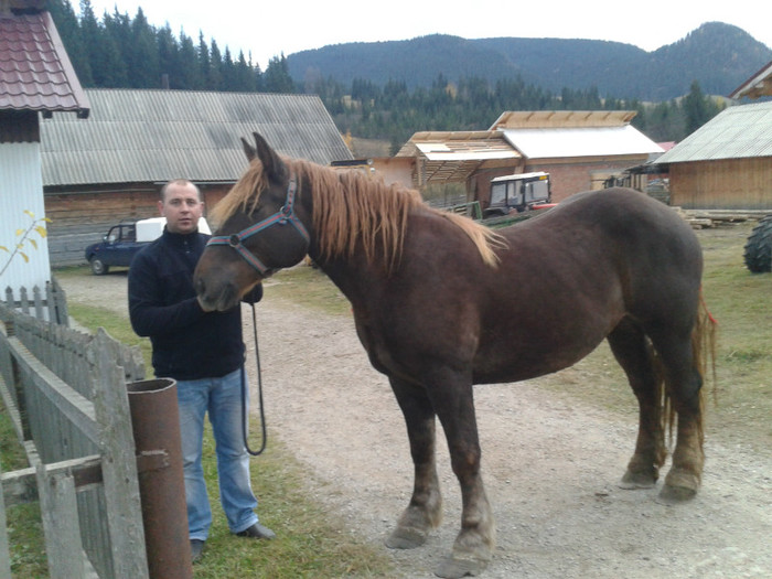 2012-10-26 17.58.08 - Caii mei