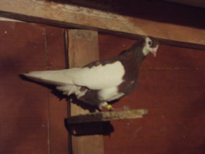 DSCF1125