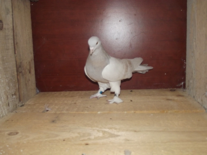 DSCF1189