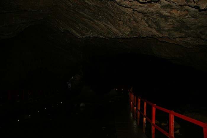 IMG_0764 - CANON TURDA