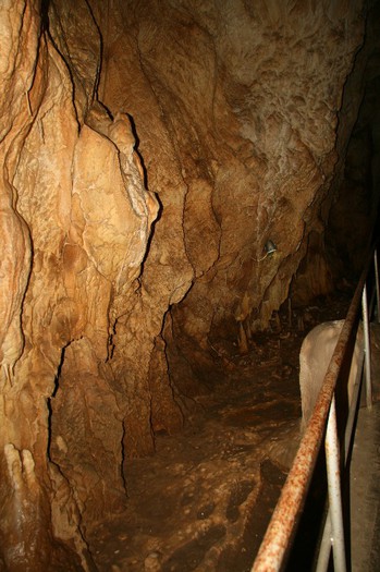 IMG_0787 - CANON TURDA