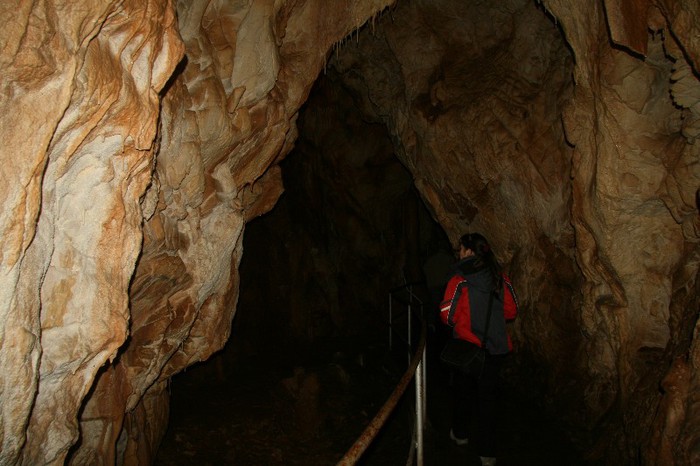 IMG_0790 - CANON TURDA