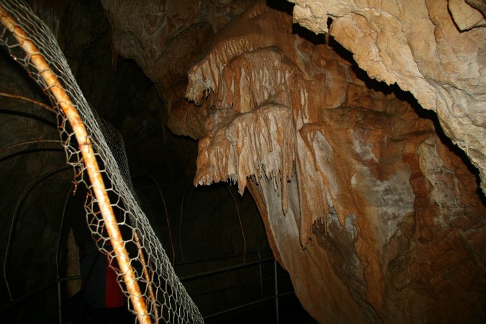 IMG_0806 - CANON TURDA