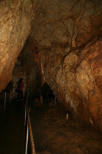 IMG_0810 - CANON TURDA