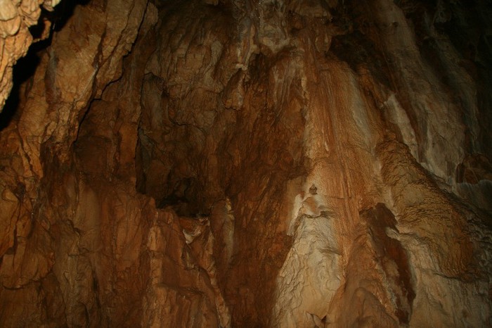 IMG_0817 - CANON TURDA