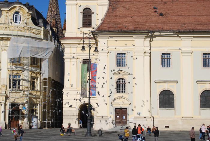 DSC_4180 - NIKON ZIUA 1