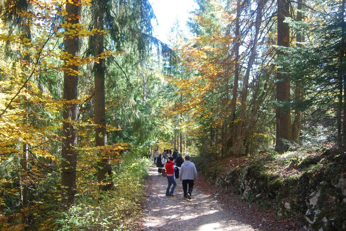 DSC_4580 - NIKON ZIUA 2