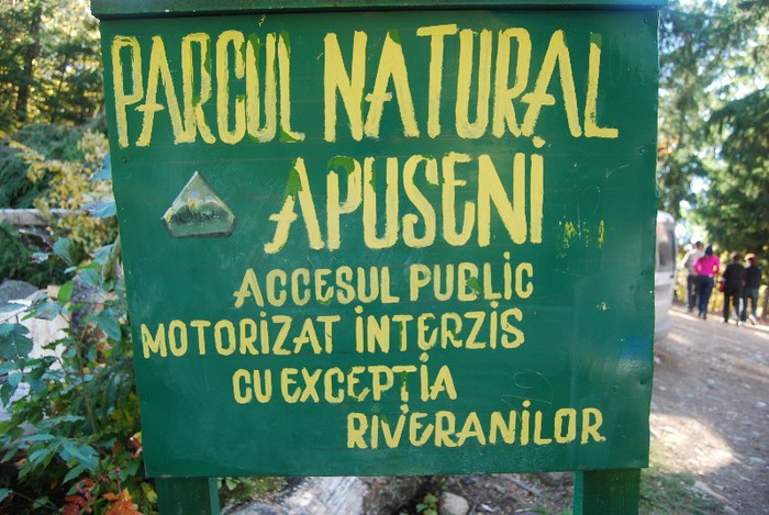 DSC_4581 - NIKON ZIUA 2