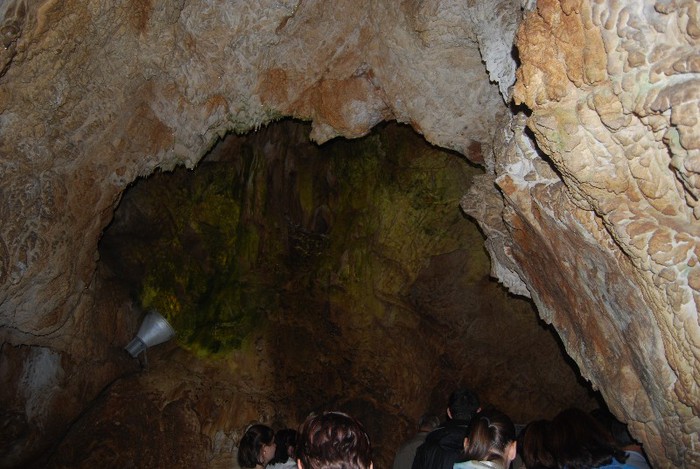 DSC_4596 - NIKON ZIUA 2