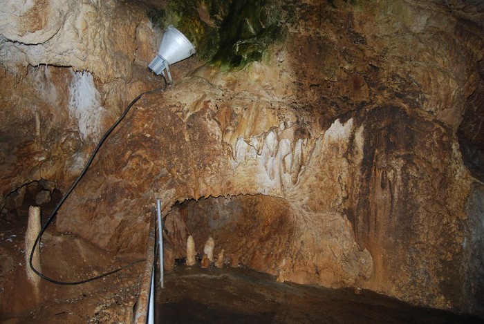 DSC_4597 - NIKON ZIUA 2