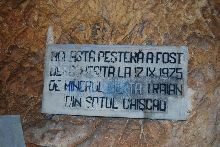 DSC_4598 - NIKON ZIUA 2